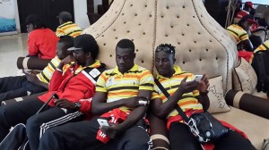Cranes arrive in Morocco
