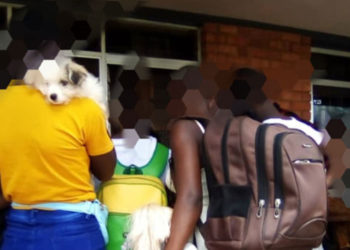 Maya project Uganda Chapter operating illegally-NGO Bureau