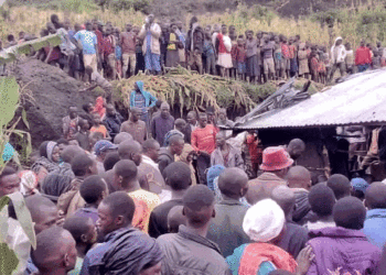 Govt asked to urgently establish disaster Fund