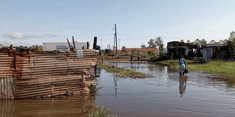 Panic in Elegu as Onyama river bursts its banks