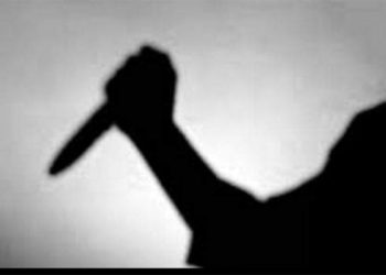 Three-year-old boy stabbed by mom for being “stubborn” passes on