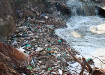 UNEP warns of piling plastics in soil