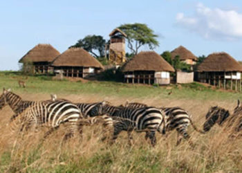 UWA heightens security in protected areas