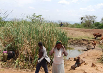 Dry spell likely to continue till May – Climate prediction centre