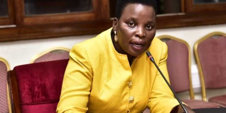 Minister calls for probe into Ntungamo ghost water project