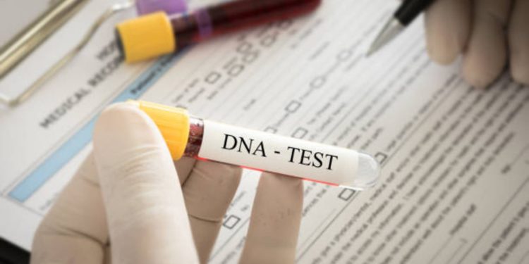 Geneticists laud govt for streamlining DNA testing