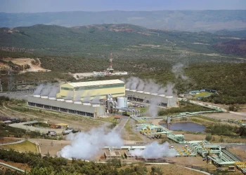 African leaders seek united front to press green growth goals