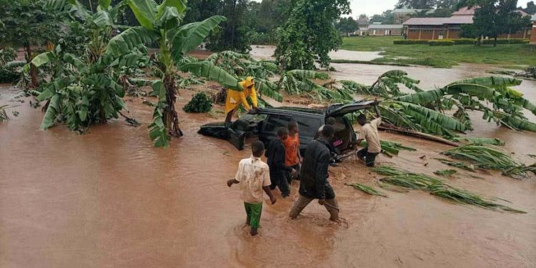 Activists want Uganda’s governance issues highlighted at COP28 