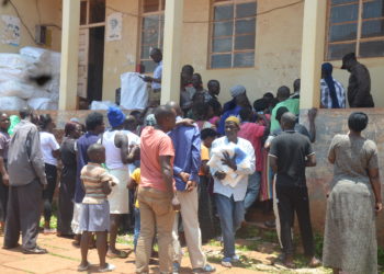 Malaria tops killer diseases among children in Buikwe