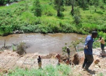 Rotary partners with UNEP to safeguard global freshwater ecosystems