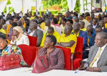 NRM MPs agree to back merger of govt agencies