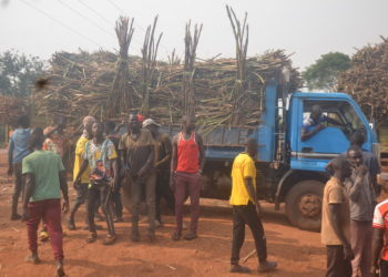 Concern as Luuka students carry machetes to school