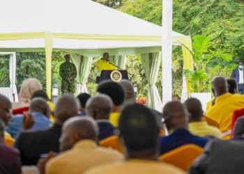Analysts call for phased merger of govt agencies 