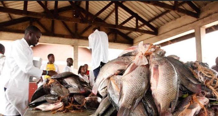 Fishermen urged to adjust to new fishing guidelines