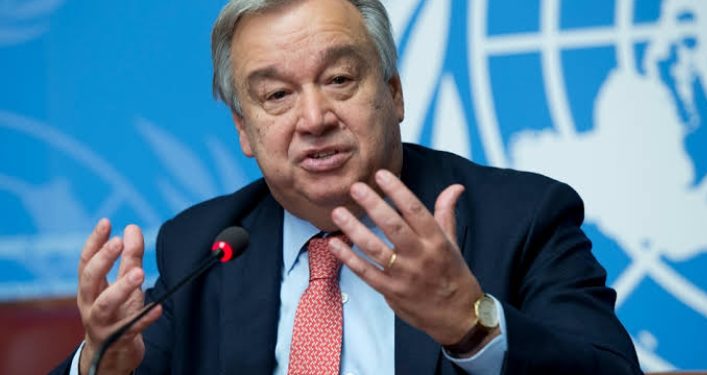 World Refugee Day: UN calls for solidarity, inclusion amid record displacement