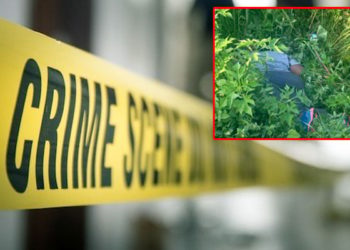 Fuel station boss killed on Northern Bypass while jogging