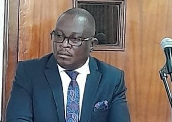 Kampala land boss granted bail