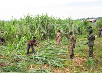 NEMA urged to conduct balanced evictions