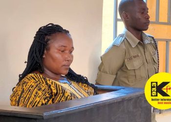 Housemaid pleads guilty to torturing 4-year-old