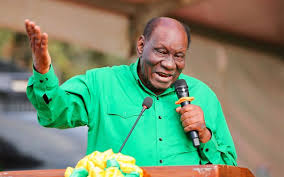 Tanzania’s ruling party picks veteran Wassira as deputy chair